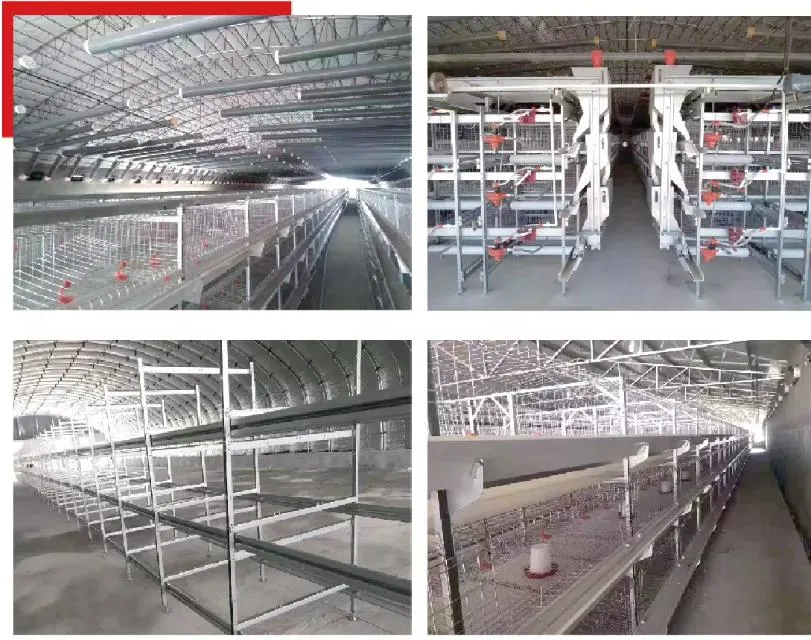 Automatic Poultry Farm Equipment for Chicken Feeding/Drinking/Cooling/Heating System for Layer