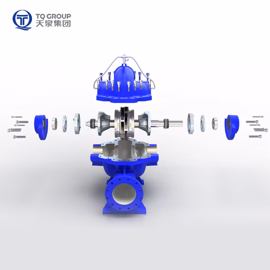 横型二重吸引分割ケーシング遠心ウォーターポンプ Tianquan DN80